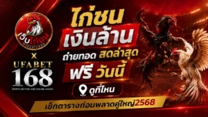 ไก่ชน เงิน ล้าน ถ่ายทอด สดล่าสุด ฟรี วันนี้ ดูที่ไหน