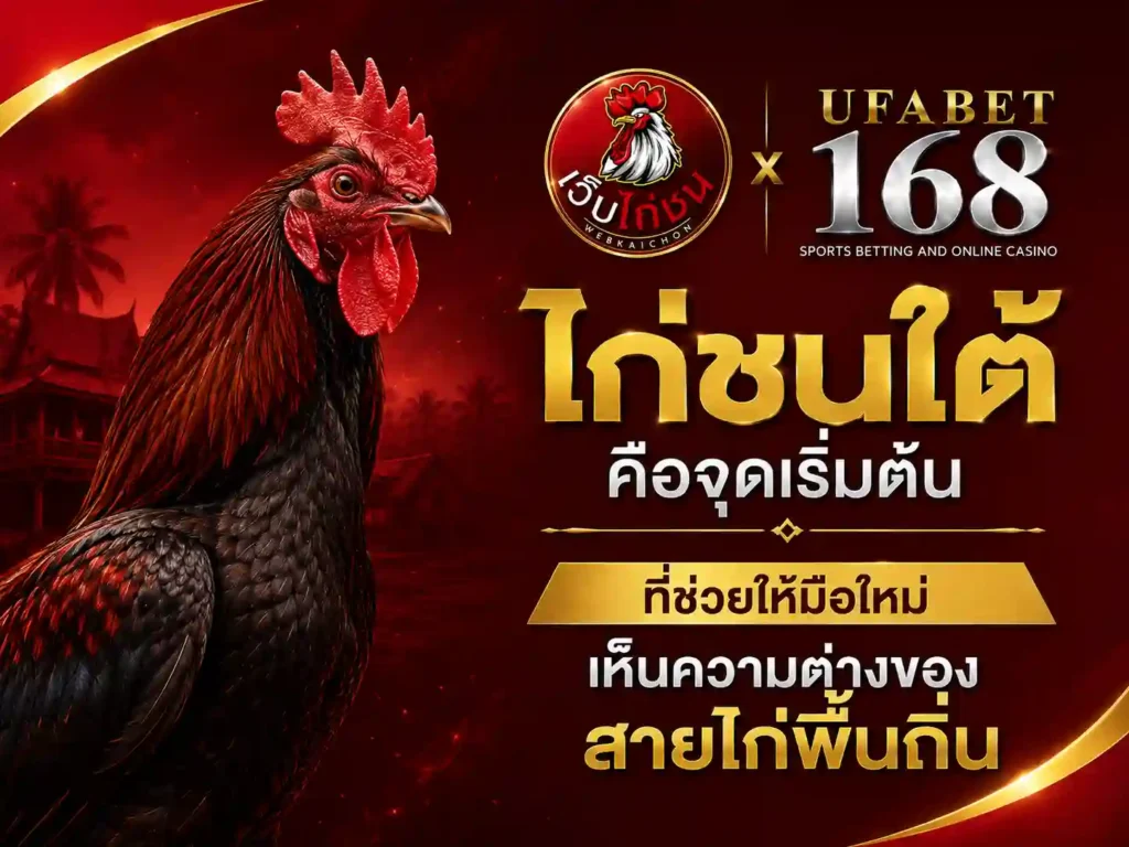 ไก่ชน ใต้ คือจุดเริ่มต้นที่ช่วยให้มือใหม่
