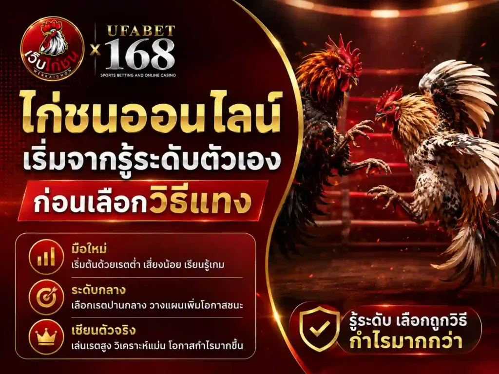 ไก่ชนออนไลน์ เริ่มจากรู้ระดับตัวเองก่อนเลือกวิธีแทง