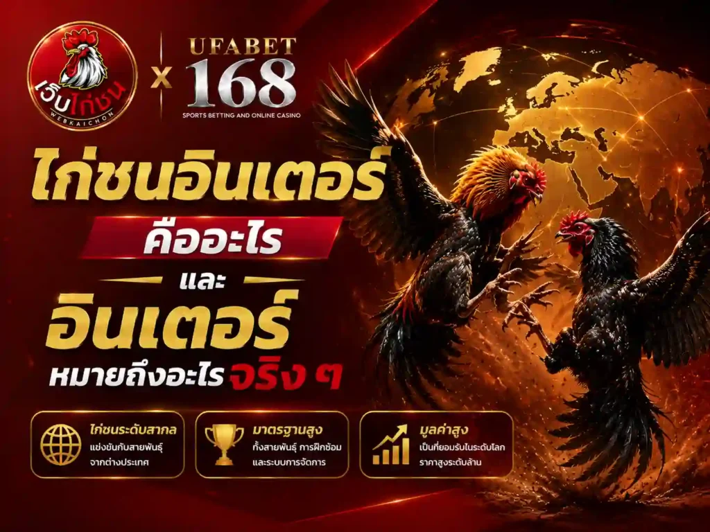 ไก่ชนอินเตอร์ คืออะไรหมายถึงอะไร