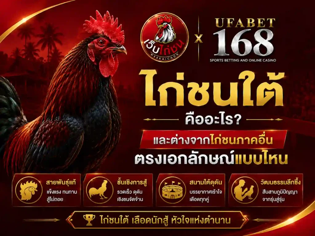 ไก่ชนใต้ คืออะไร ต่างจากไก่ชนภาคอื่น