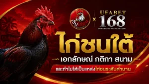 ไก่ชนใต้ เอกลักษณ์ กติกา สนาม