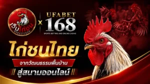 ไก่ชนไทย วัฒนธรรมพื้นบ้านสู่สนามออนไลน์