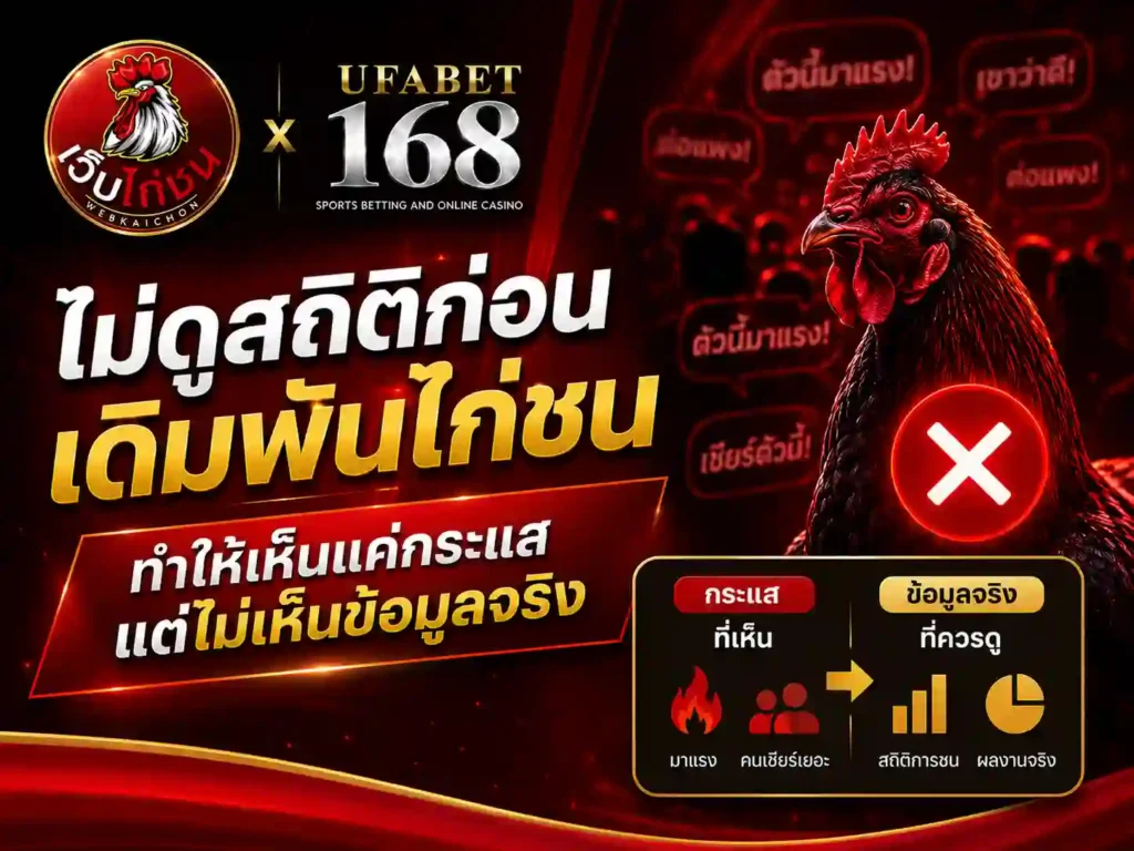 ไม่ดูสถิติก่อน เดิมพันไก่ชน ไม่เห็นข้อมูลจริง