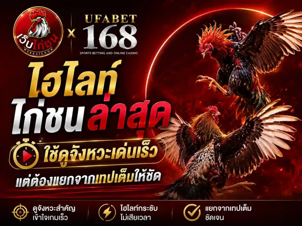 ไฮไลท์ไก่ชน ล่าสุดใช้ดูจังหวะเด่นเร็ว